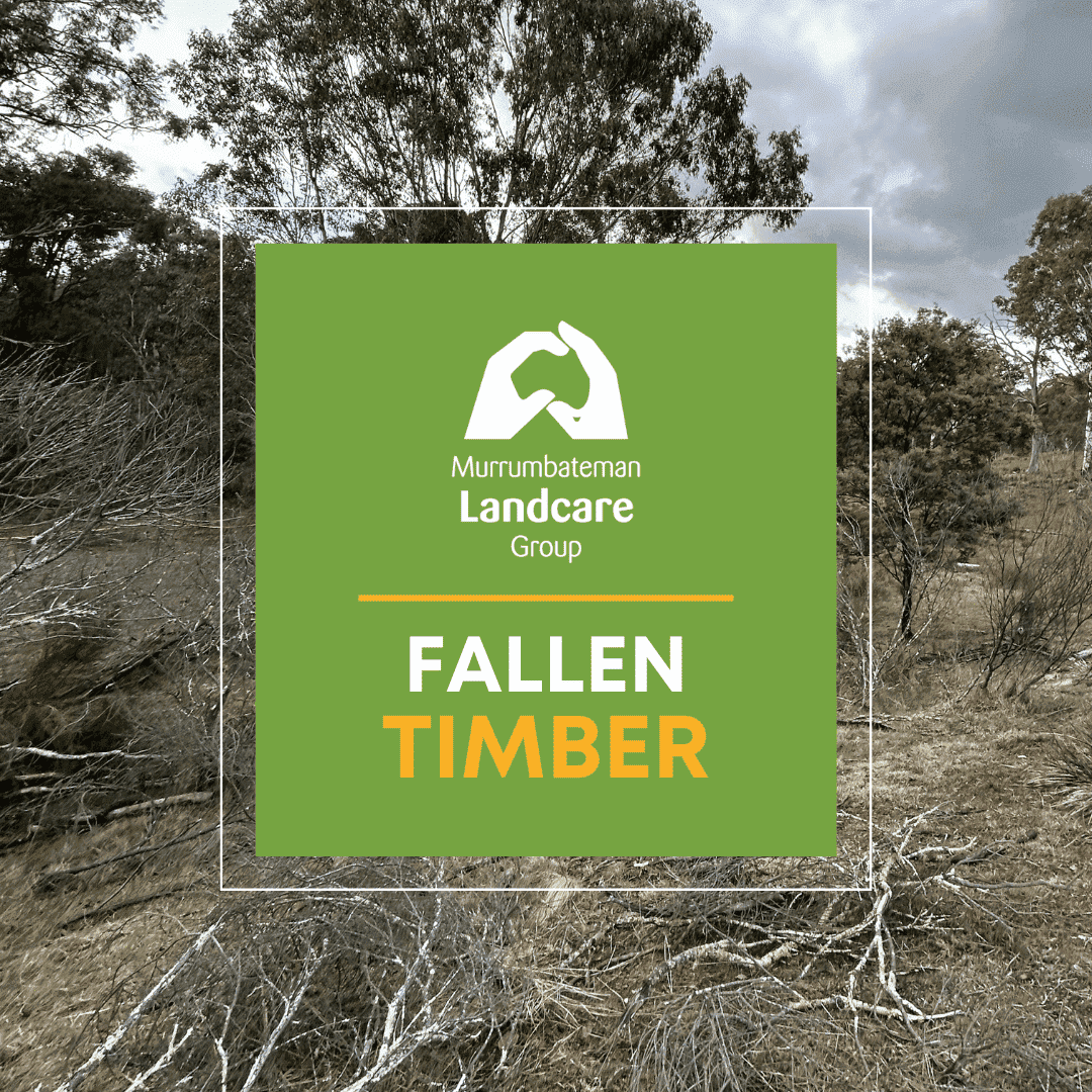 Murrumbateman Landcare - Fallen timber